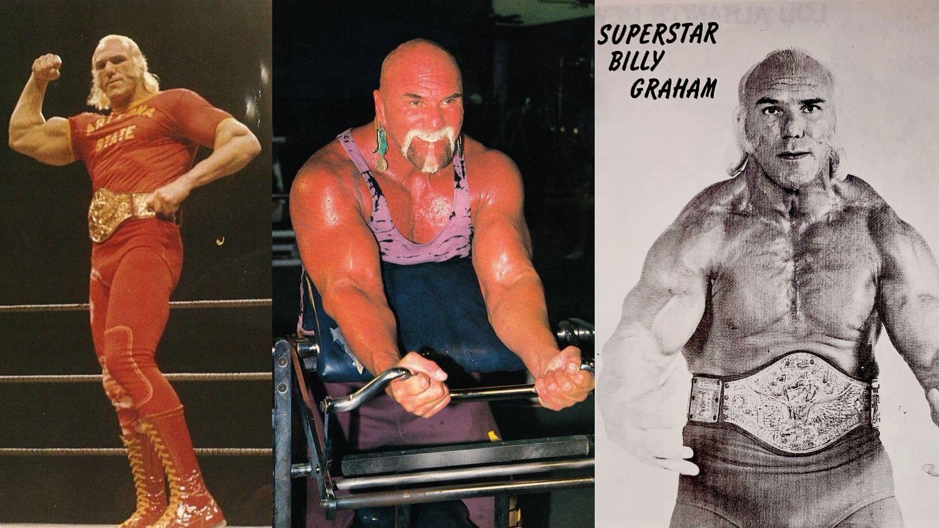 Billy Graham was bodybuilder before entering competitive wrestling