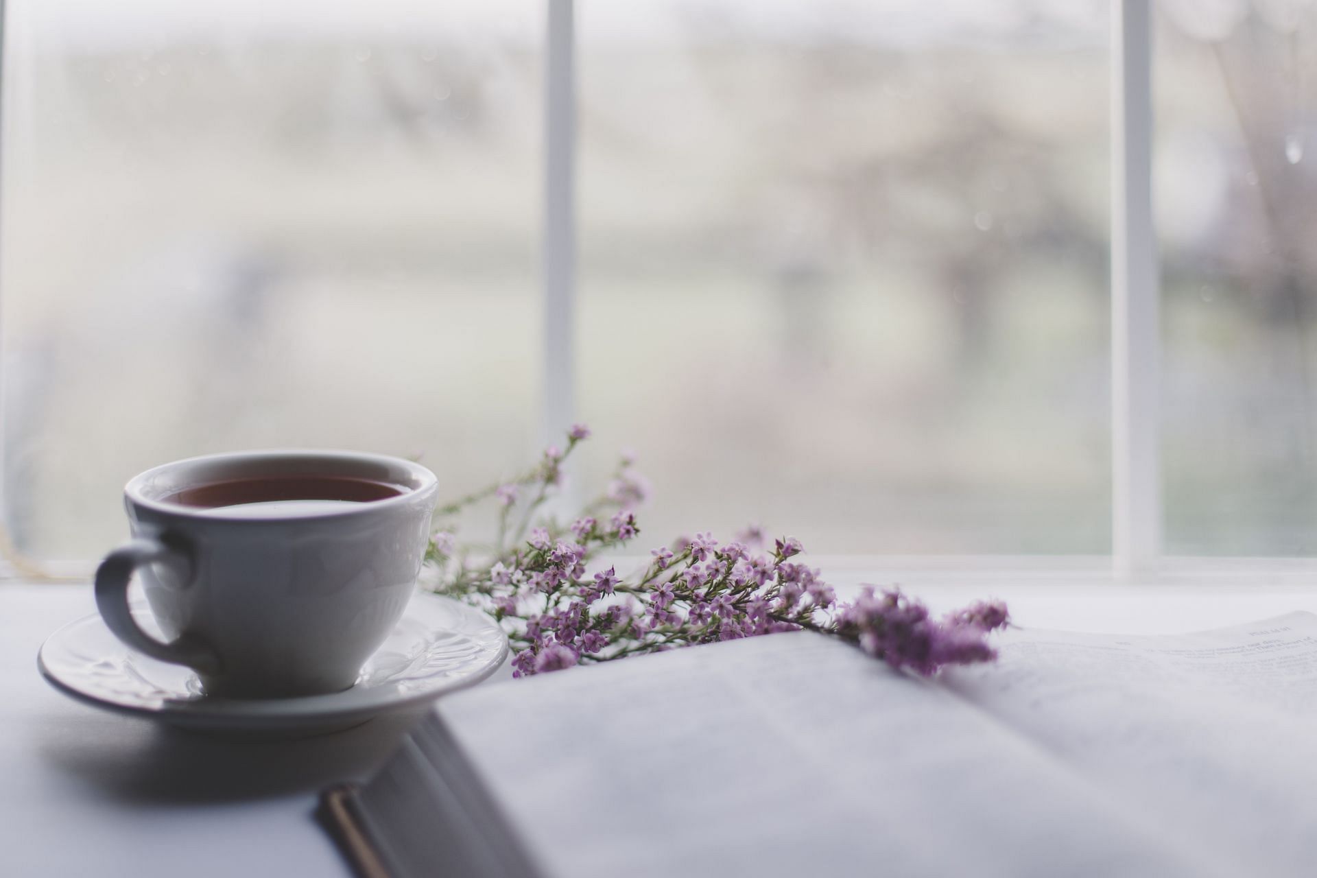 Green juice provides fresh way to start your mornings. (Image via Unsplash/ Sixteen Miles Out)