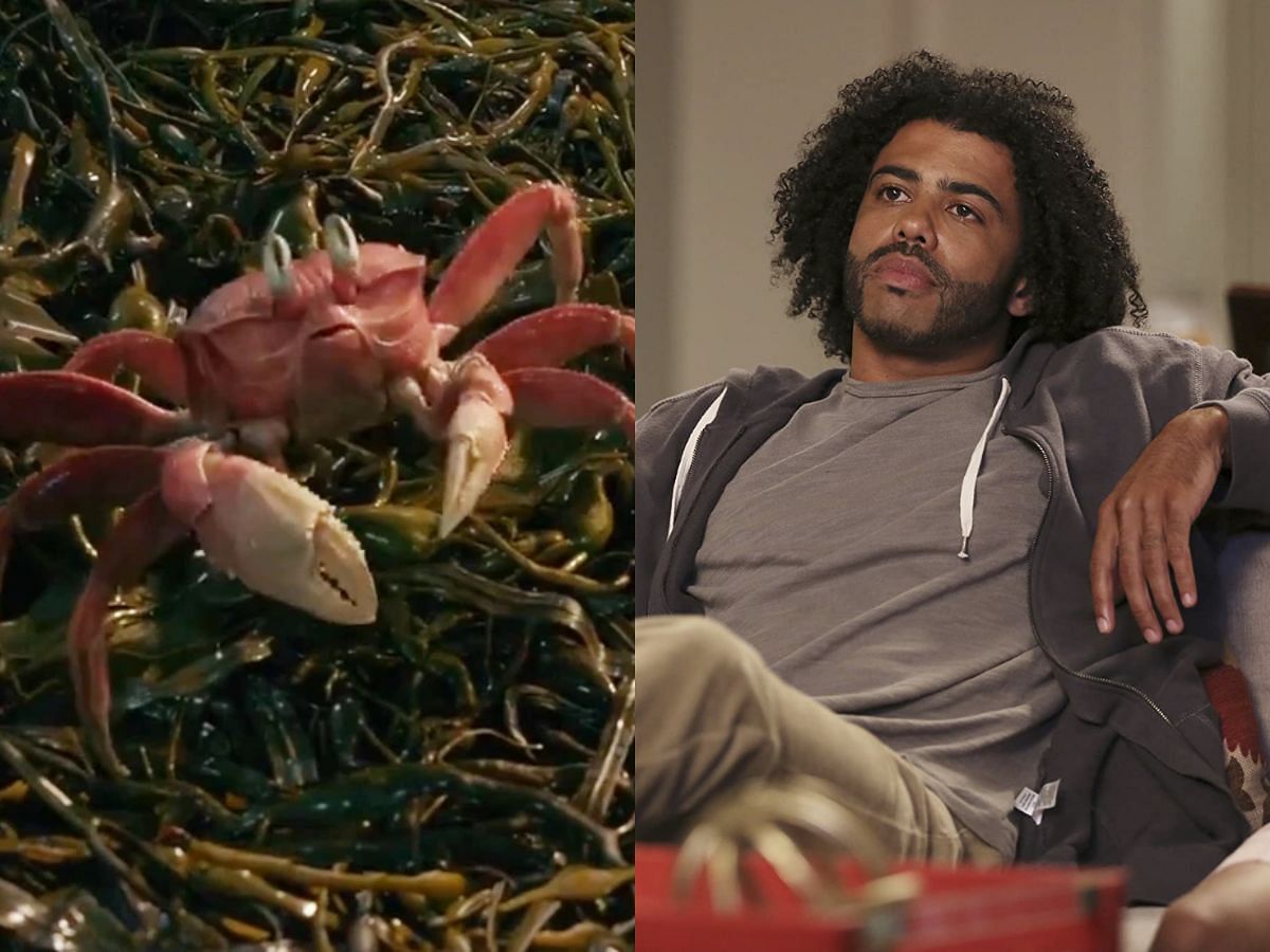 Daveed Diggs will play the role of Sebastian in The Little Mermaid (Image via IMDb)