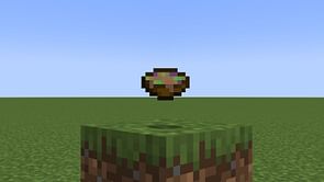 How to make and use suspicious stew in Minecraft?