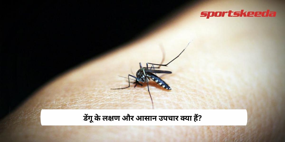 What are the symptoms and easy treatment of dengue?