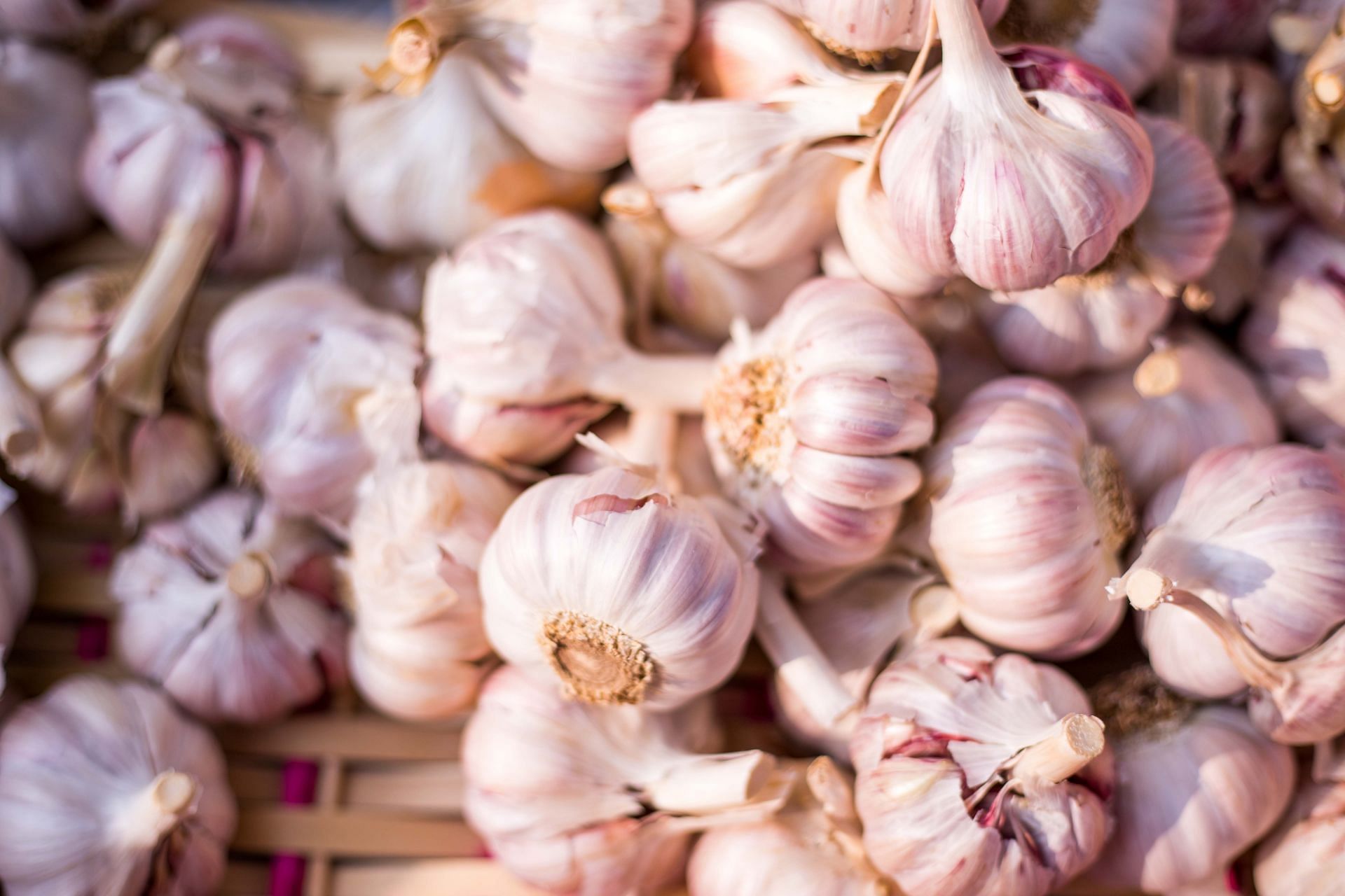 garlic contains natural lactogenic properties. (image via unsplash / team voyas)