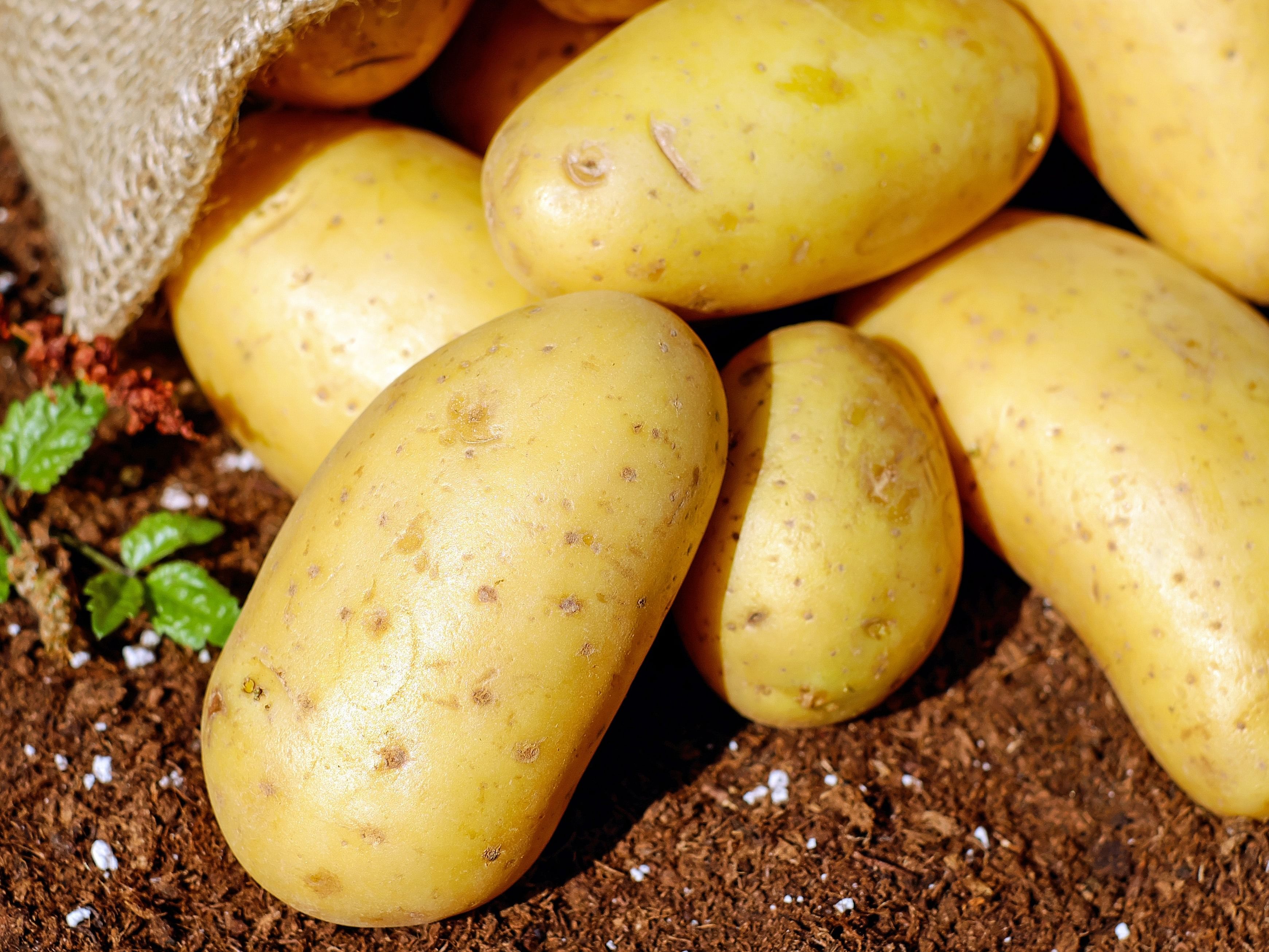 The Versatility of Potatoes: Exploring Their Culinary and Nutritional Value (Image via Pexels)