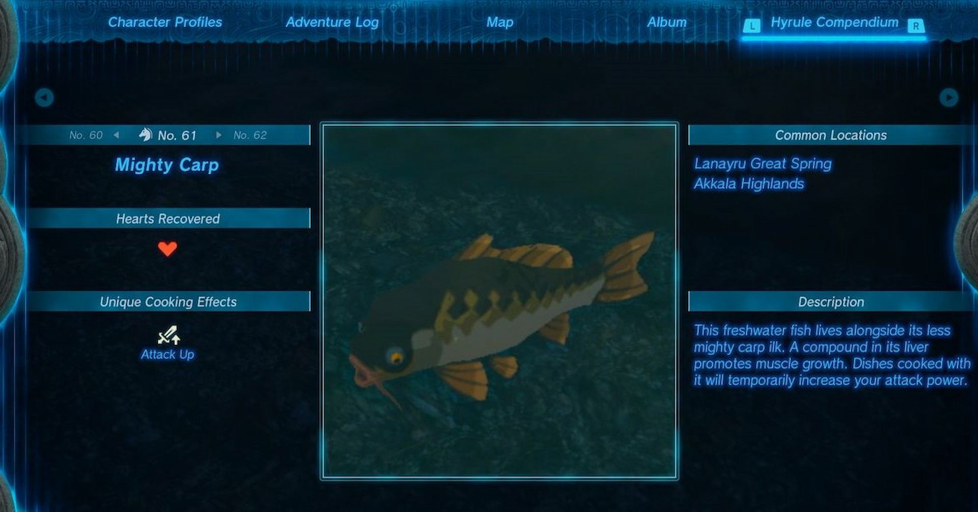 A detailed description of the Mighty Carp in the Hyrule Compendium (Image via Nintendo)