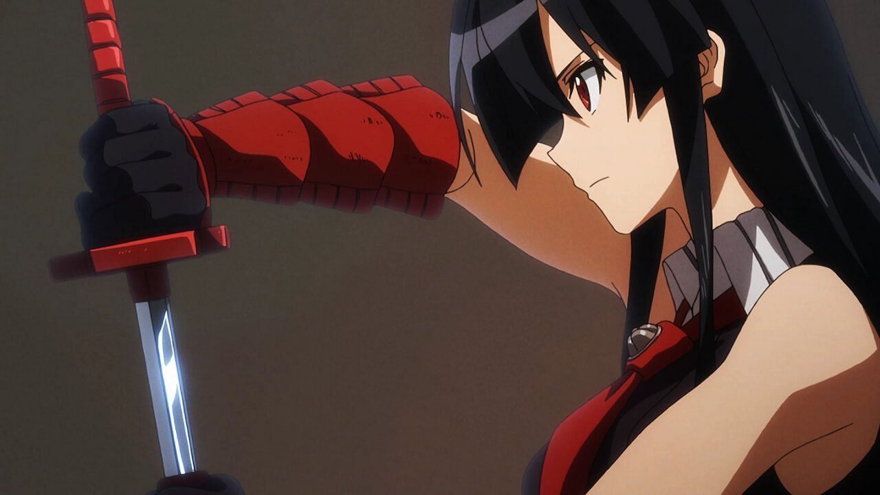 Review: Akame ga Kill and Kill la Kill (Anime version of both