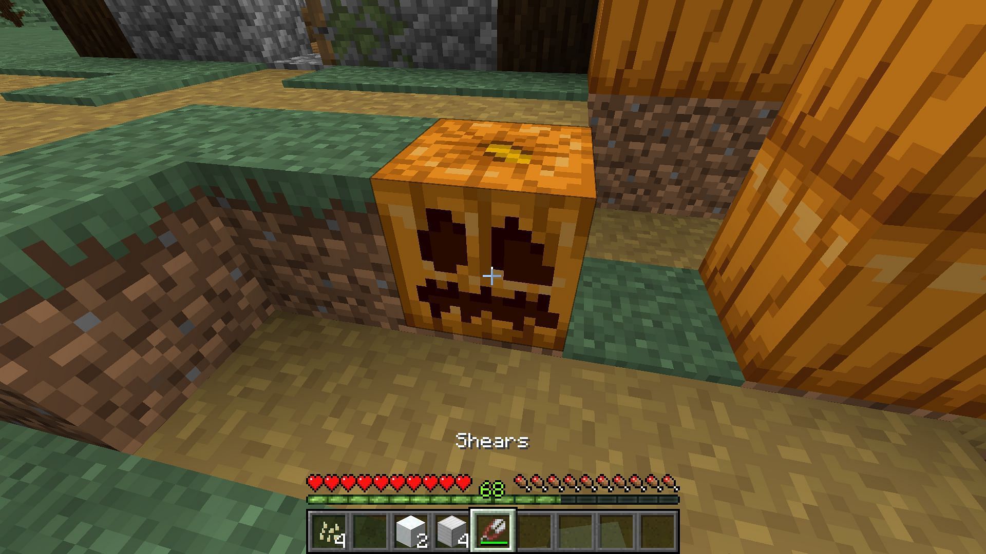 Players can wear carved pumpkins on their heads to make Enderman passive in the Minecraft End realm (Image via Mojang)