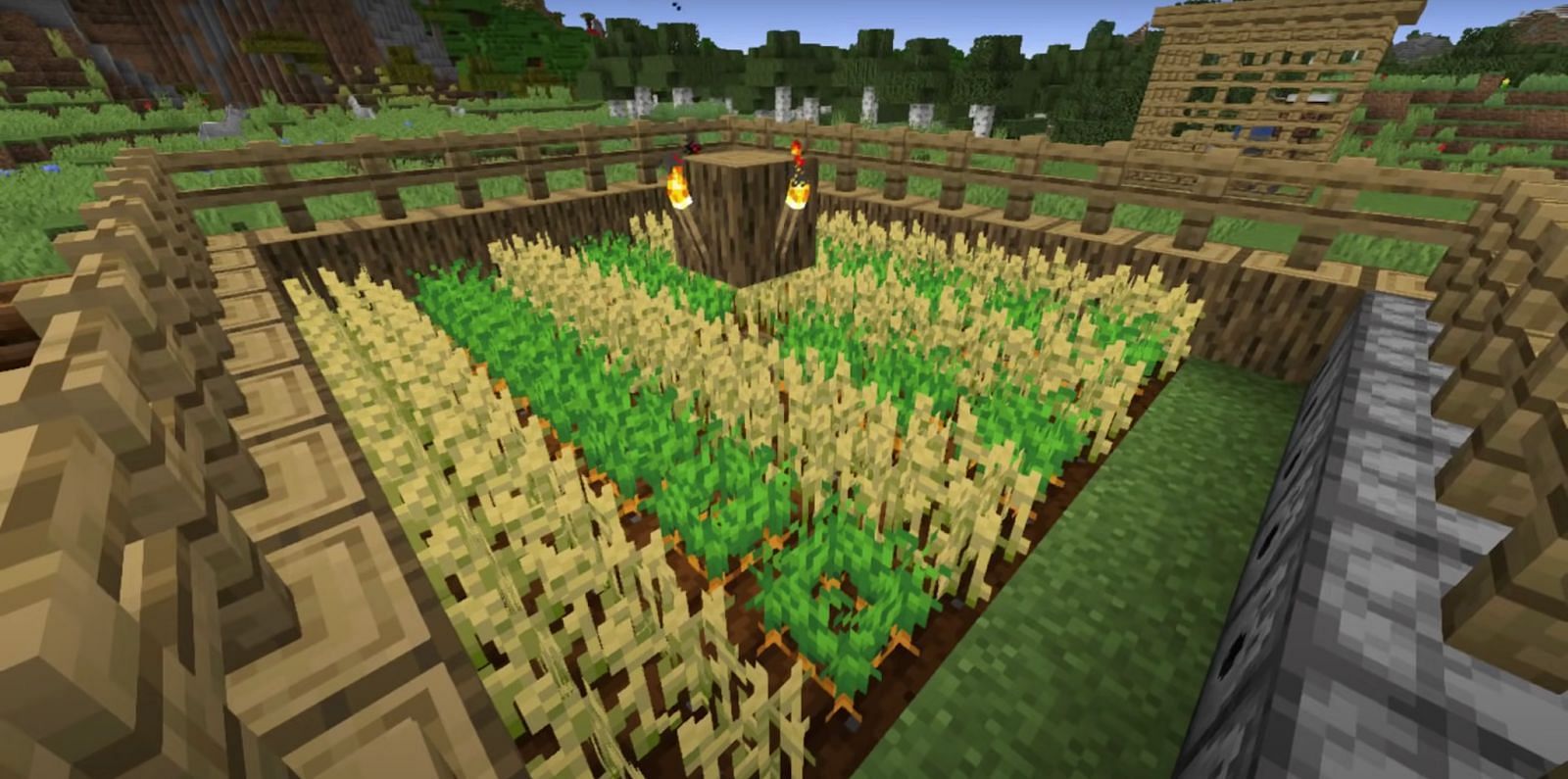 Farms in Minecraft