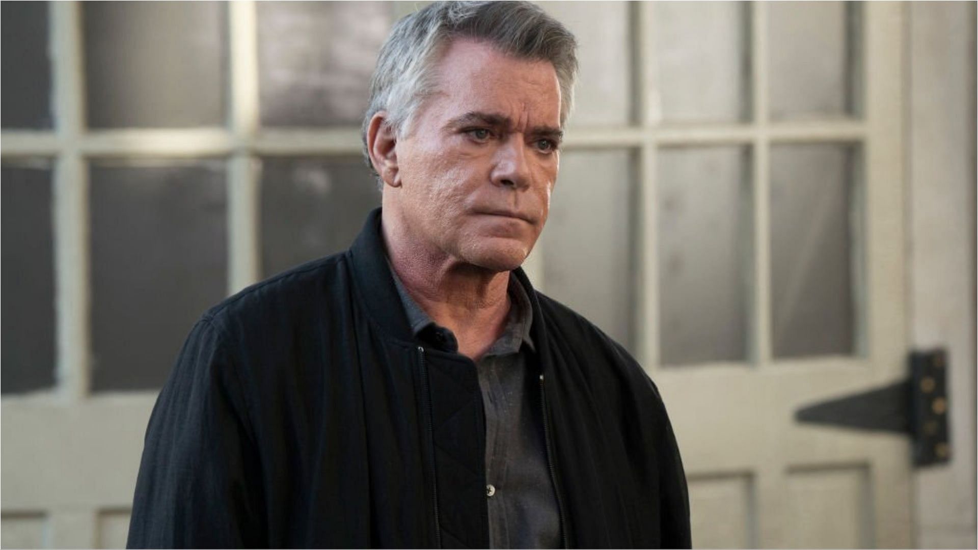 Ray Liotta was featured in various films and TV shows (Image via Virginia Sherwood/Getty Images)