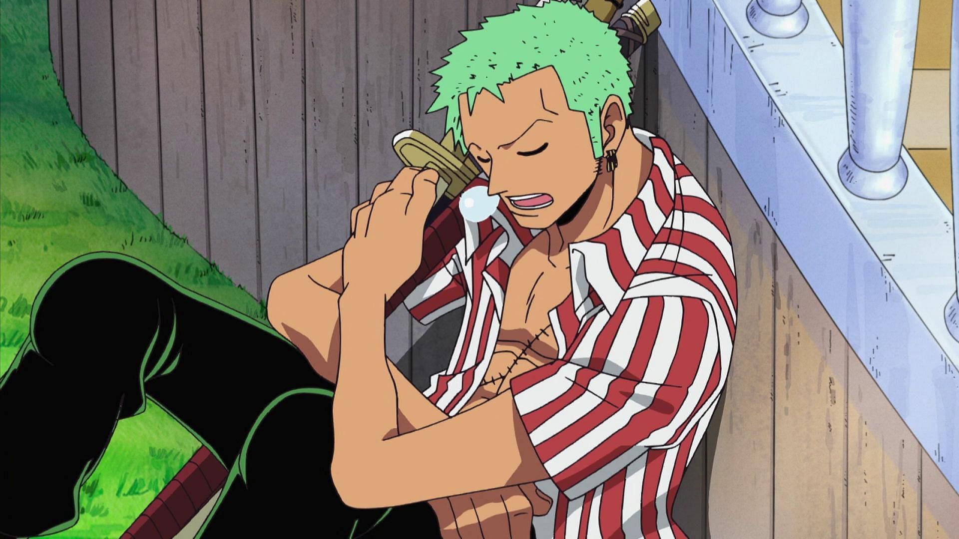 Zoro in his Sabaody Archipelago outfit (Image via Toei Animation, One Piece)