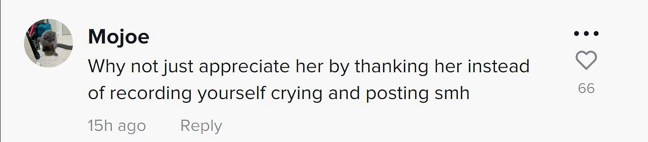 A comment reacting to the video (Image via TikTok/@ )
