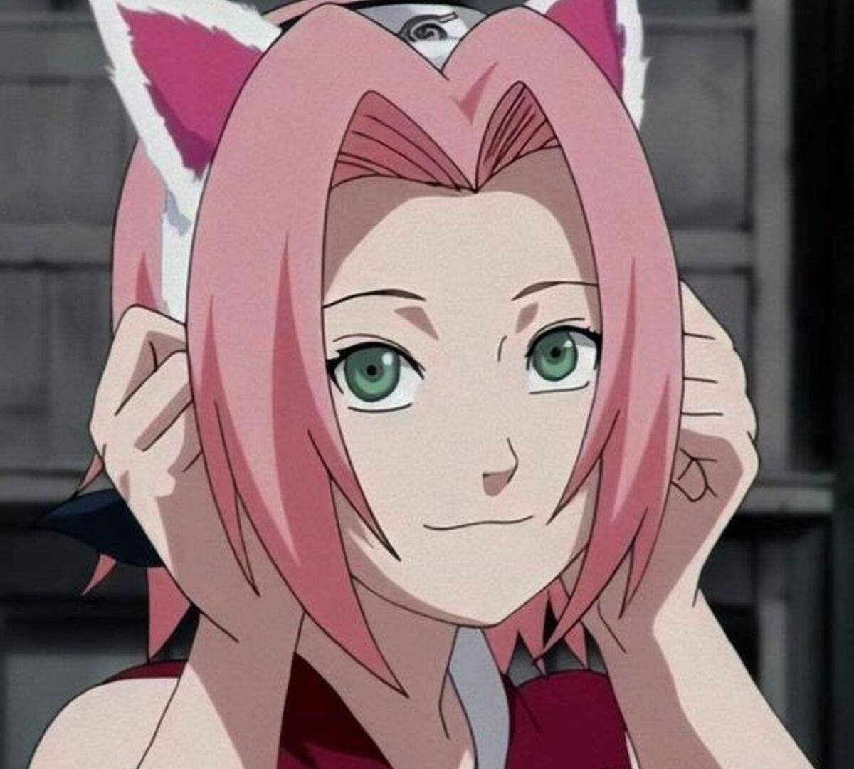 Sakura as seen in the anime (Image via Pierrot Studios)