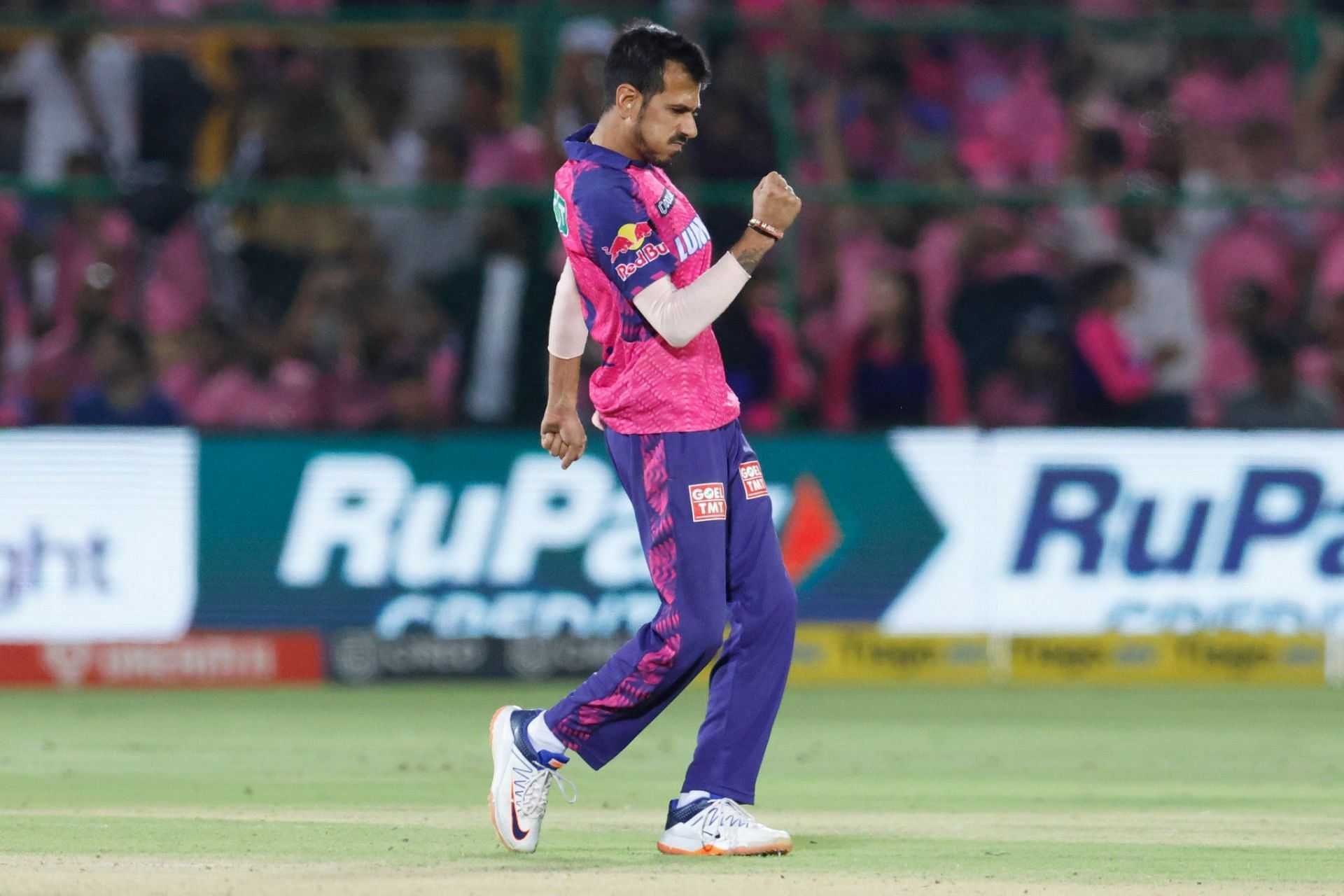 Yuzvendra Chahal after taking a wicket vs SRH [IPLT20]
