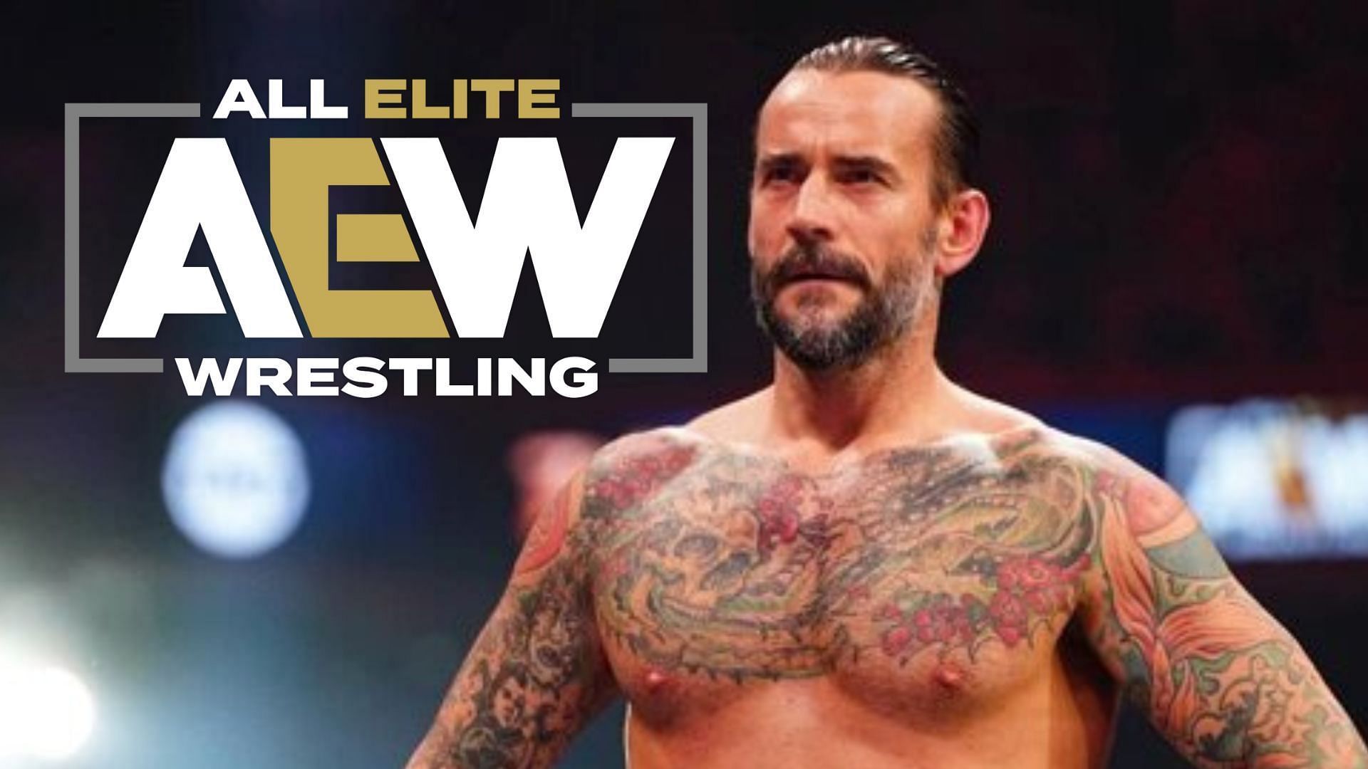 CM Punk is a former AEW Champion.