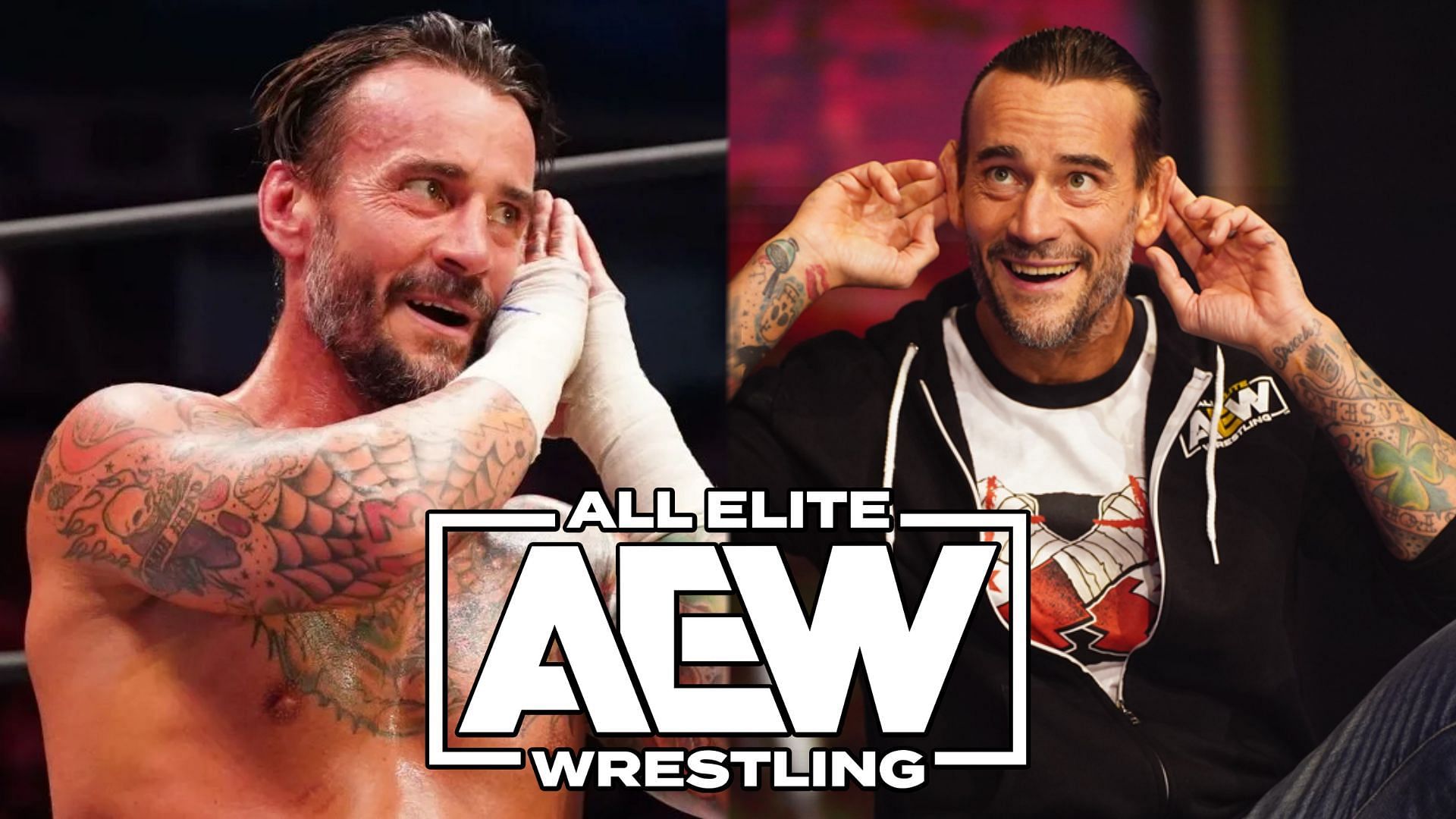 Did CM Punk have ulterior motives for the shots he took at this AEW star?