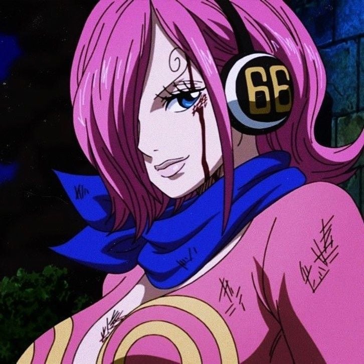 Shellmaru Reiju Who is Vinsmoke Reiju in One Piece?