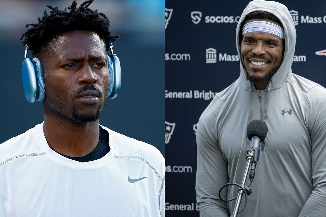 Antonio Brown, left, Cam Newton, right 