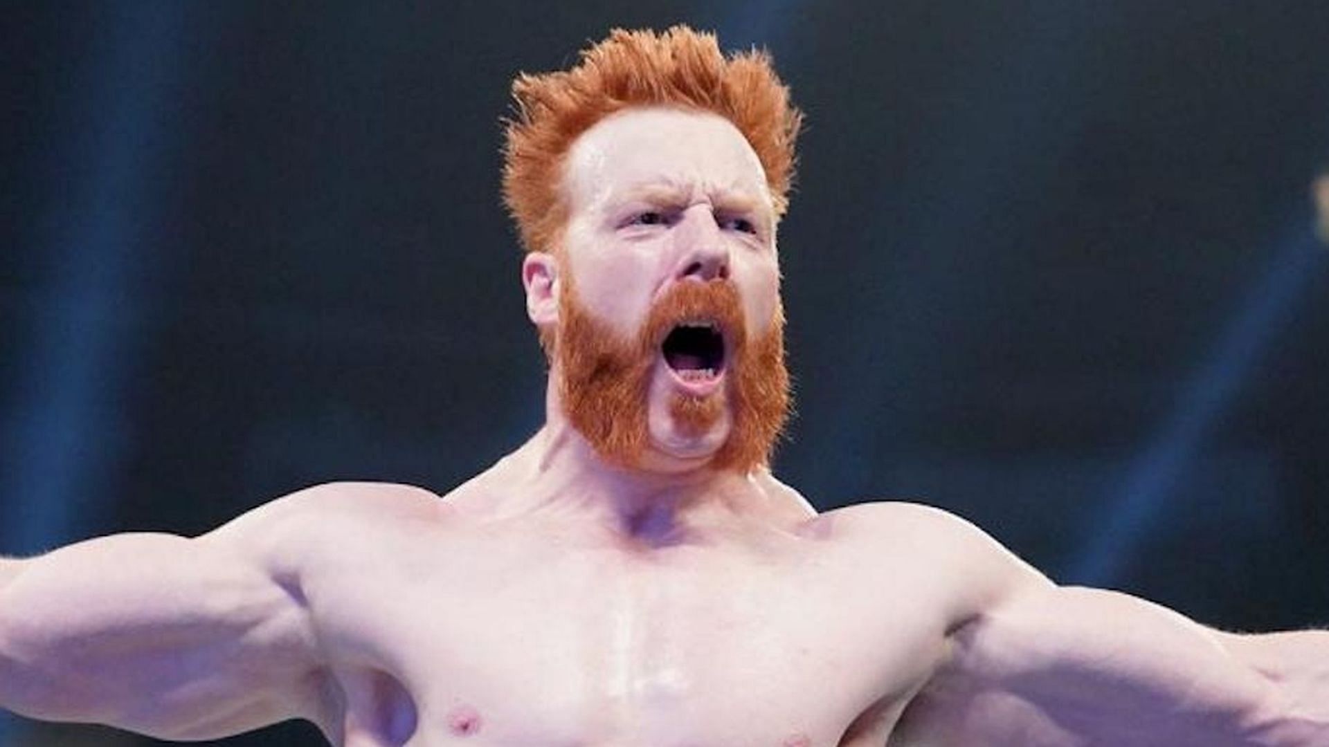 Who should be the final opponent for Sheamus?