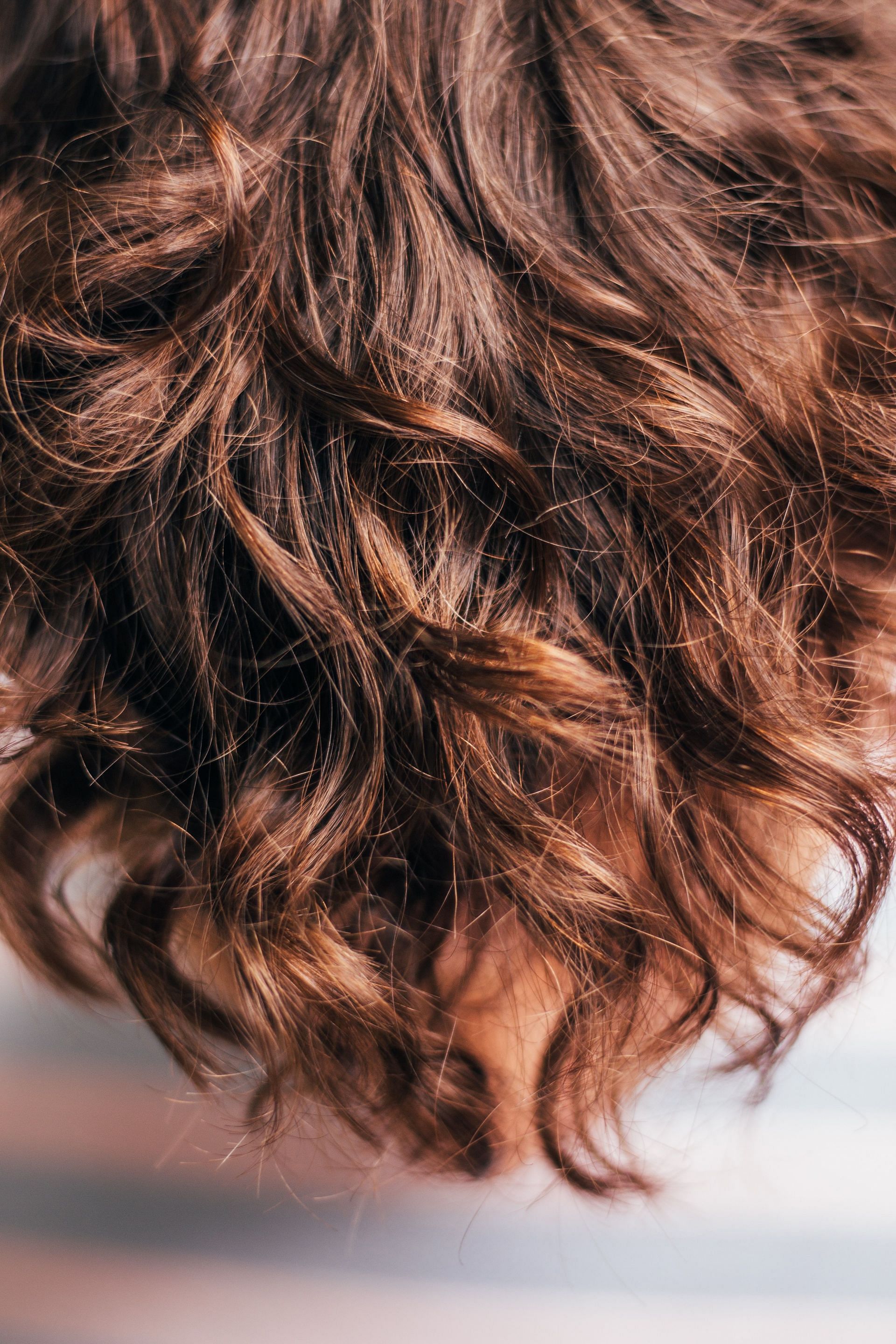 The Top 5 Hair Oils for Hair Growth and Thickness (Image via Pexels)
