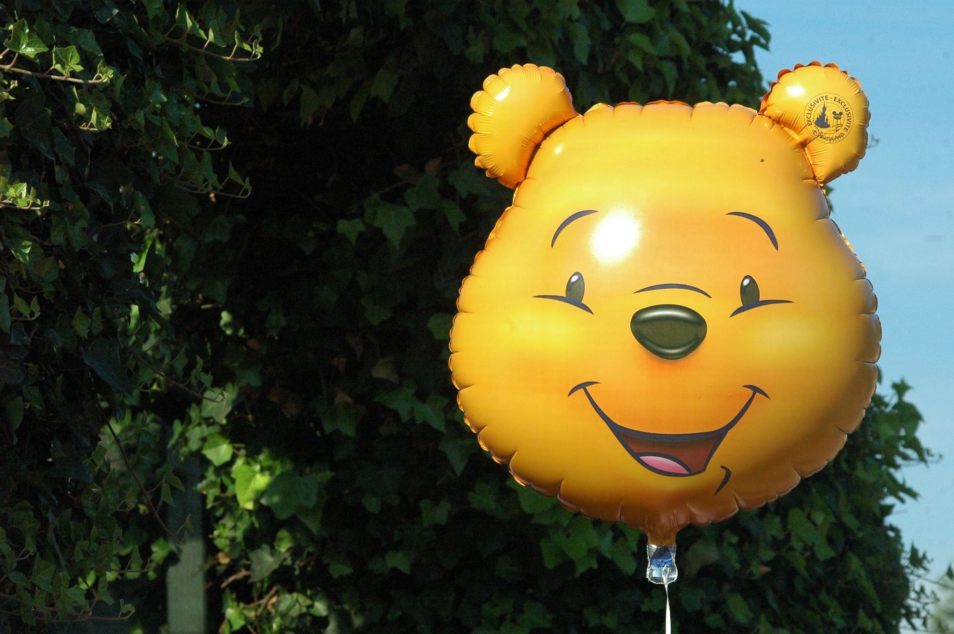 What Winnie the Pooh Can Teach Us About PTSD