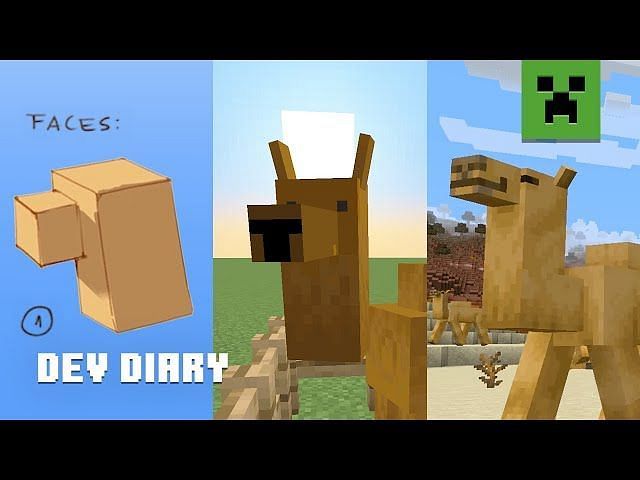 Camels in Minecraft 1.20 update: Where to find, drops, uses, and more