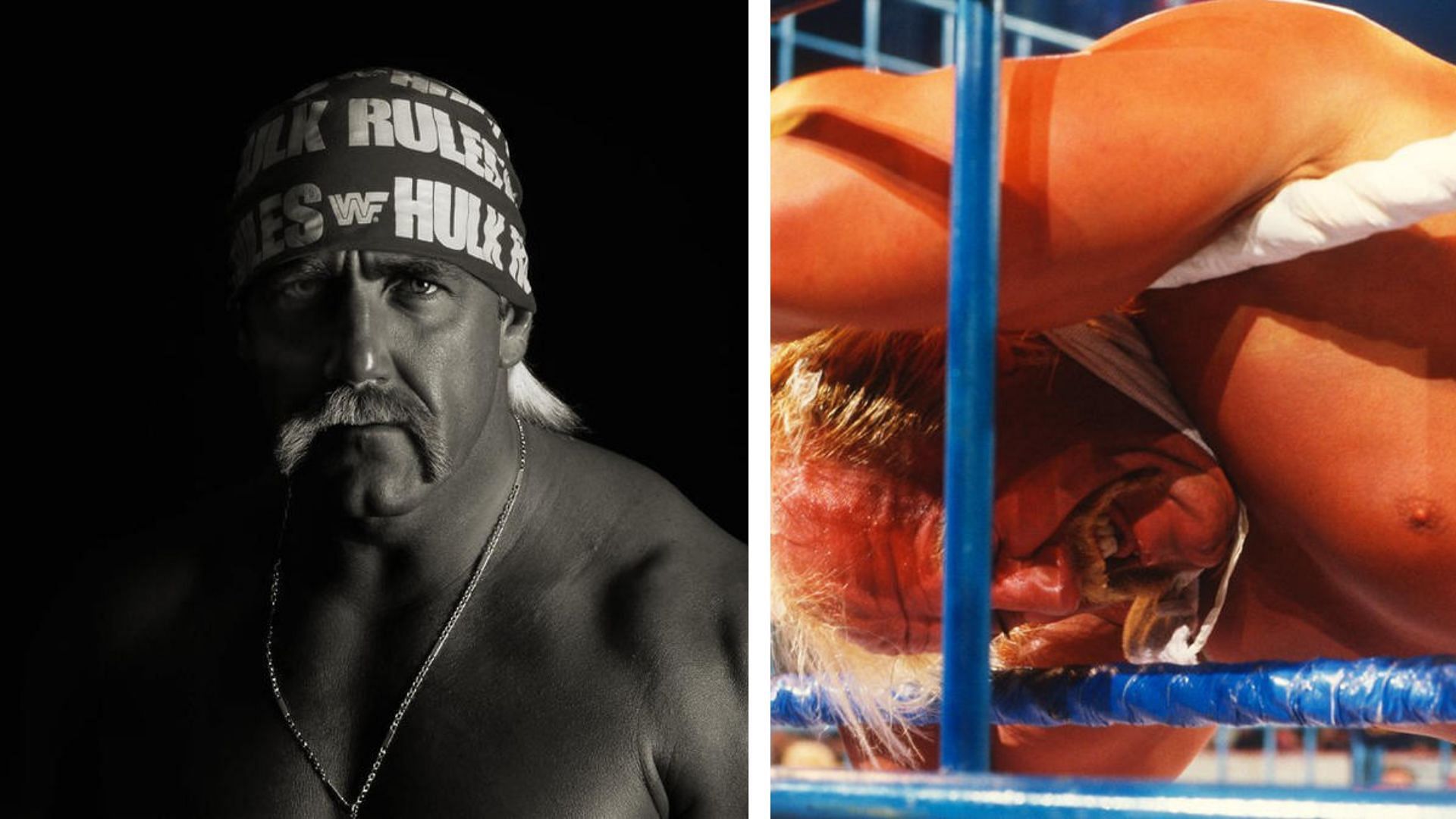 Hulk Hogan had his last match outside WWE