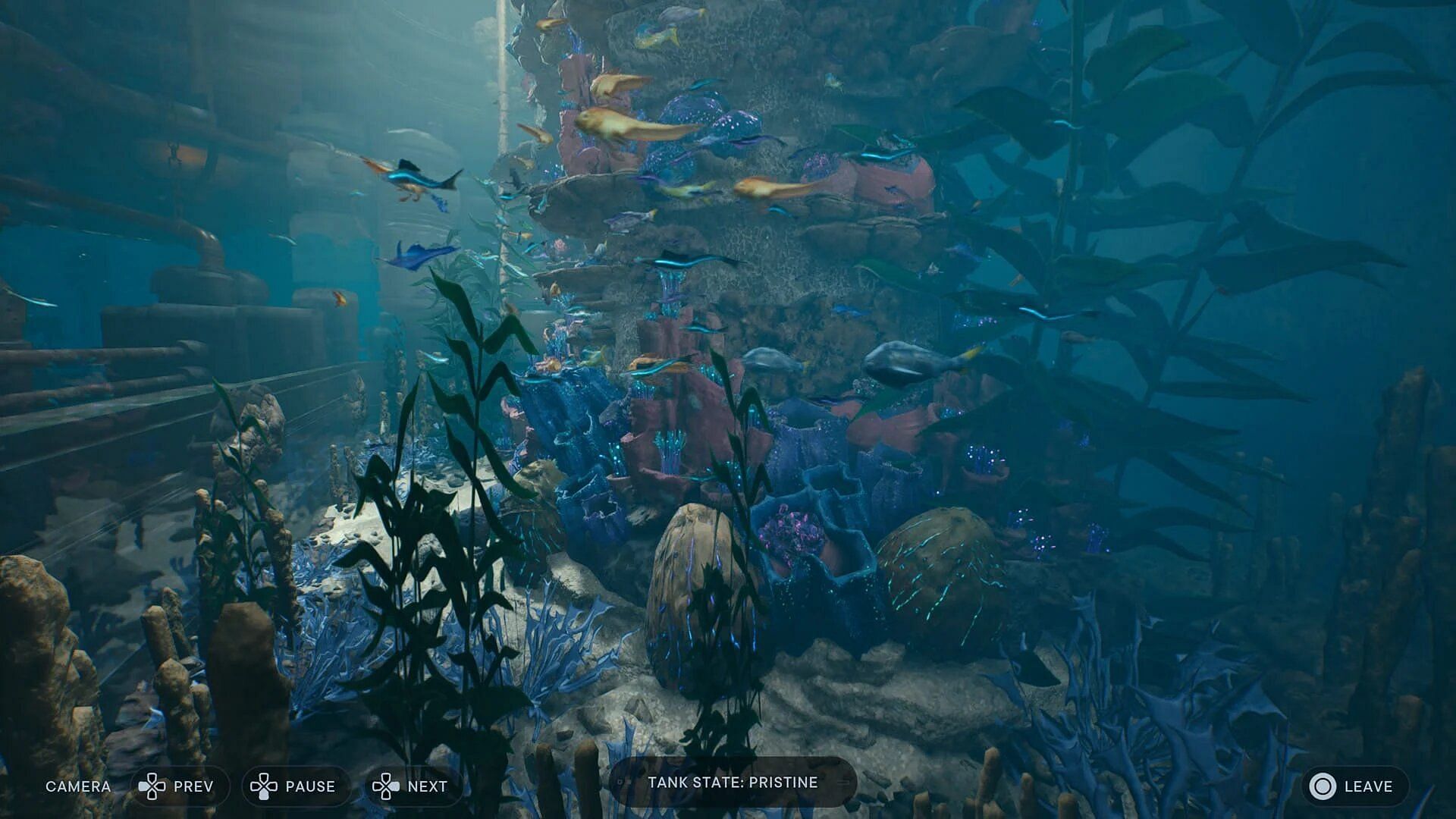 This is the Pristine state of the fish tank (Image via Electronic Arts)