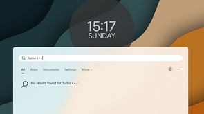 How to disable web search results in Windows 11 to view only files and folders?