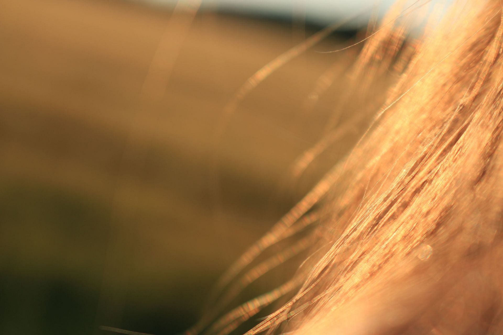 Silica for hair health (Image via Pexels)