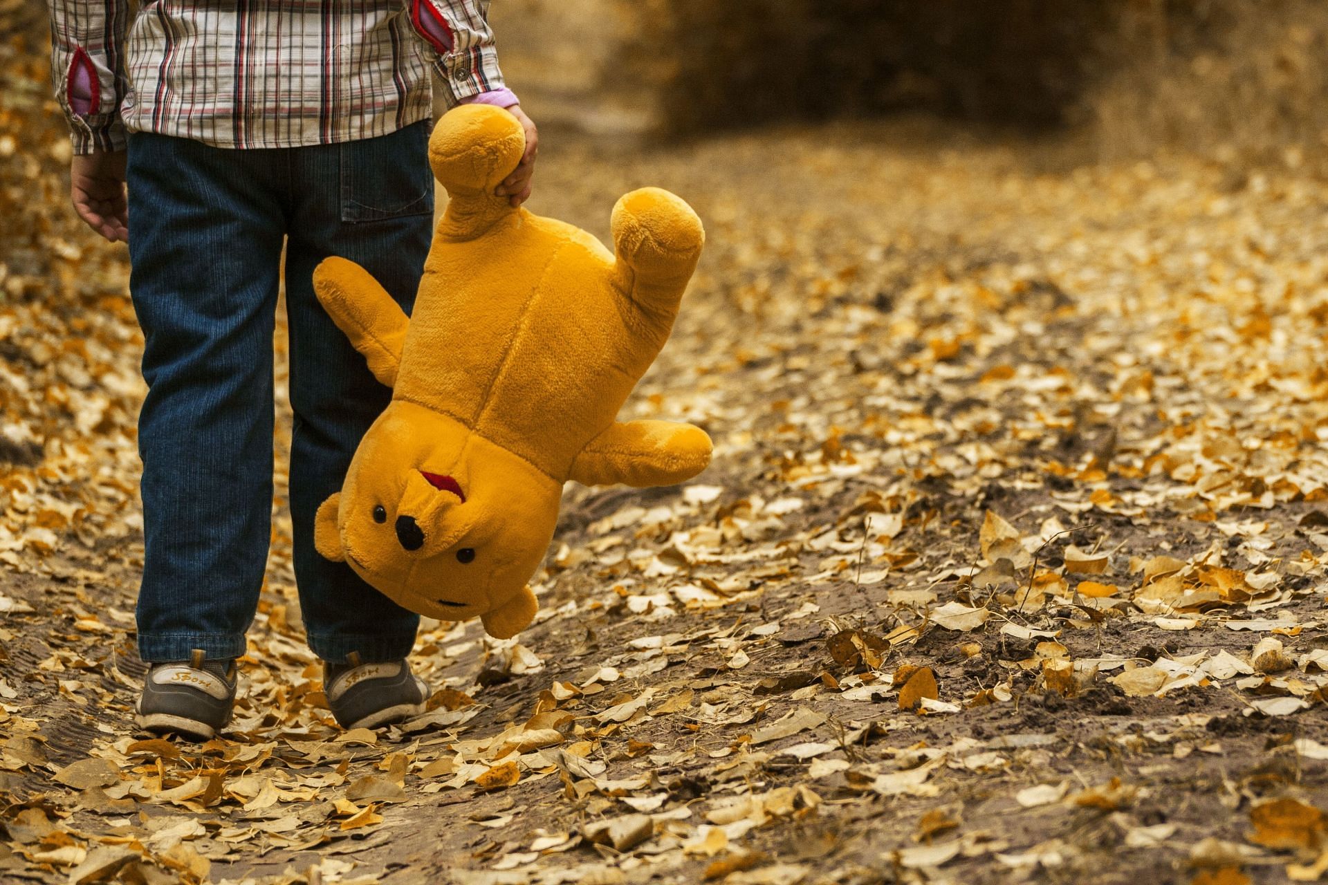 What does the winnie the pooh mental illness theory have to say about each character? (Image via Pexels/ Inna)