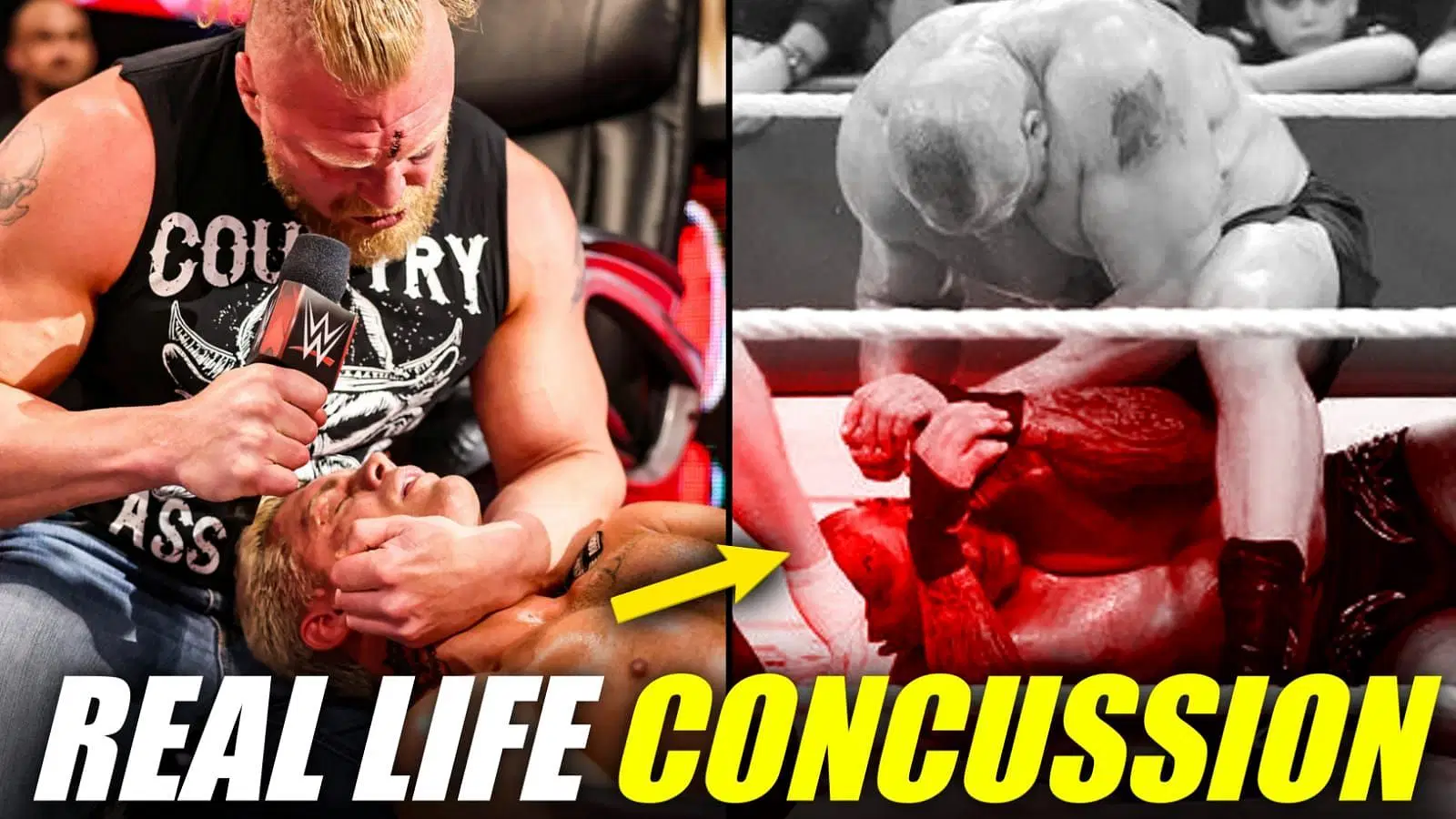  7 Most BRUTAL Assaults by Brock Lesnar