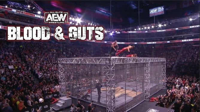 Top female AEW star wants to compete in a Blood and Guts match