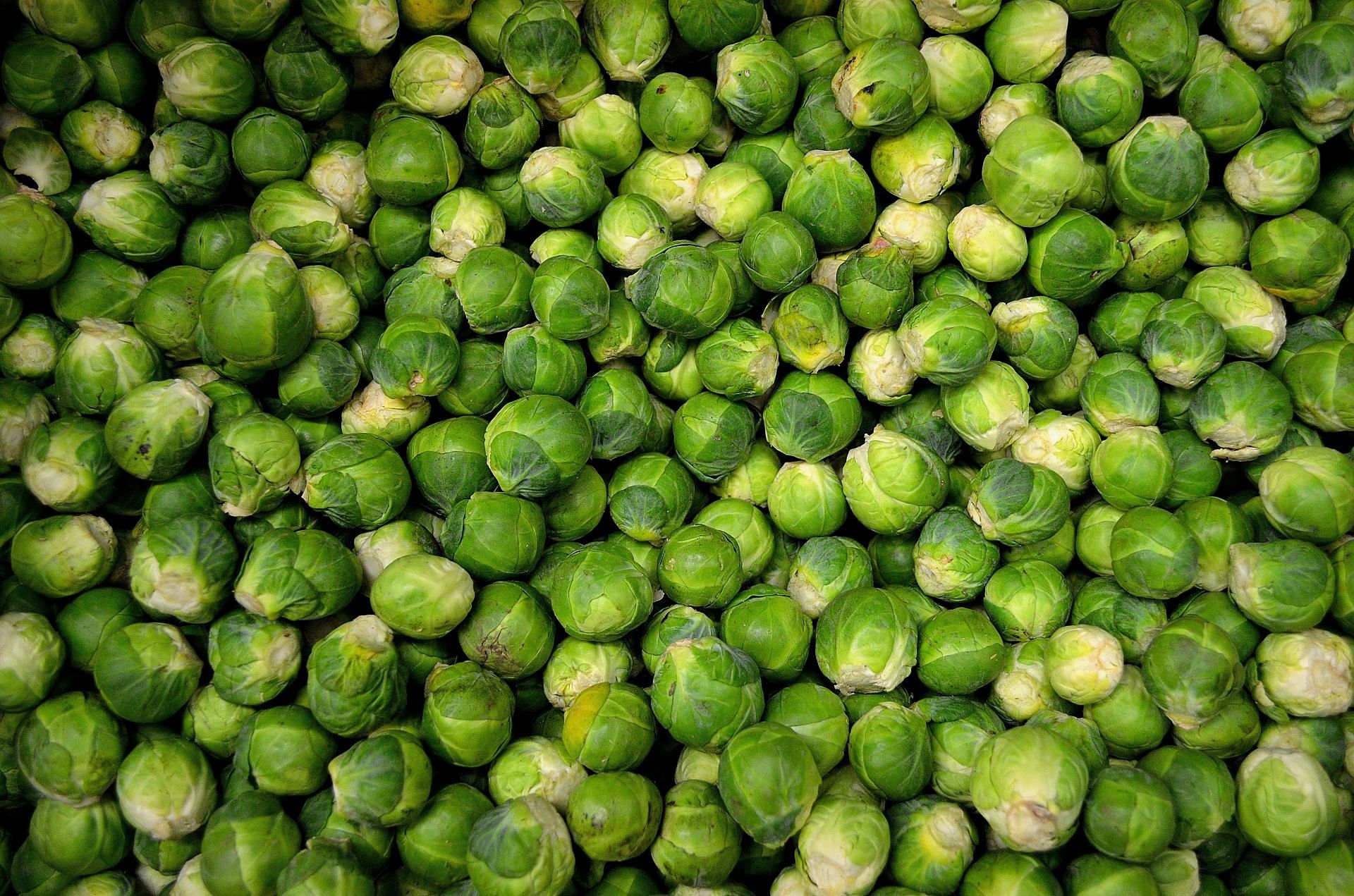 10 Surprising Benefits of Brussels Sprouts You Need to Know (Image via Pexels)