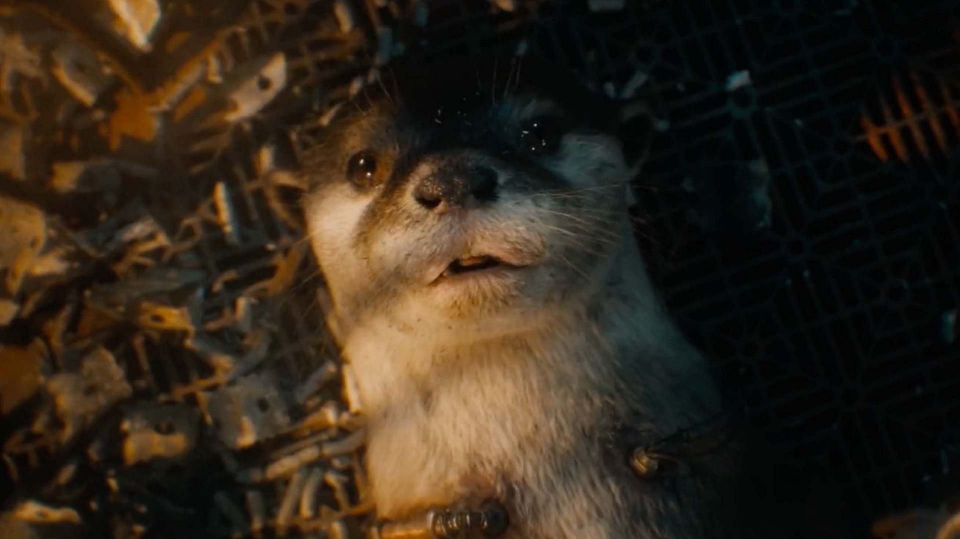 Rocket&#039;s associates - Lylla&#039;s Easter egg in the Guardians of the Galaxy Vol. 1 that James Gunn probably regrets (Image via Marvel Studios)