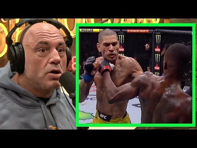 Joe Rogan offers insight into why Alex Pereira did not campaign for a ...