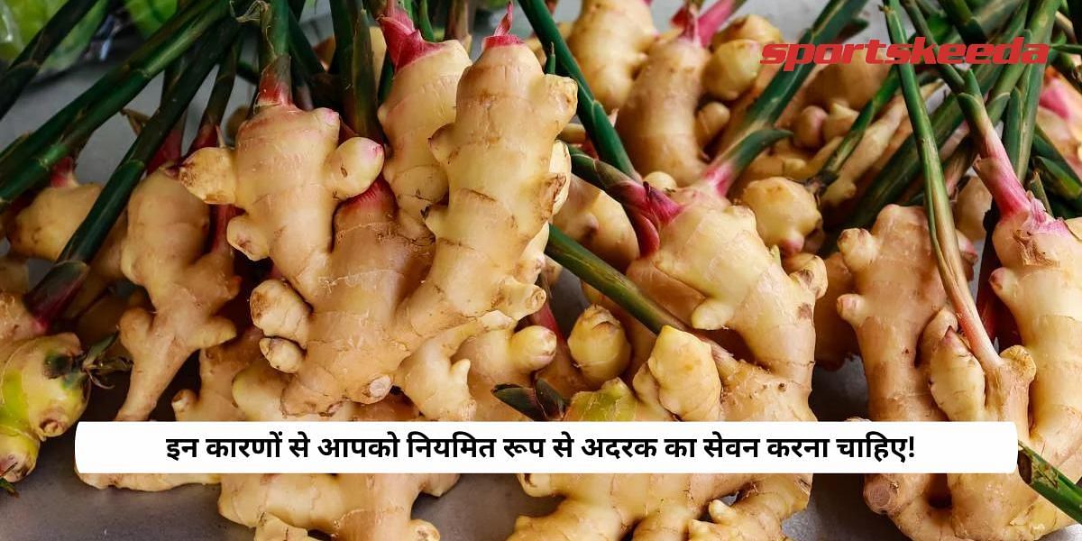 These Are Reasons Why You Should Consume Ginger  Regularly!