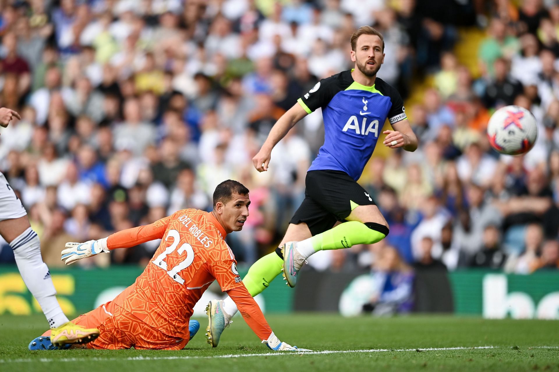 Tottenham&#039;s only bright spark in a tumultuous campaign