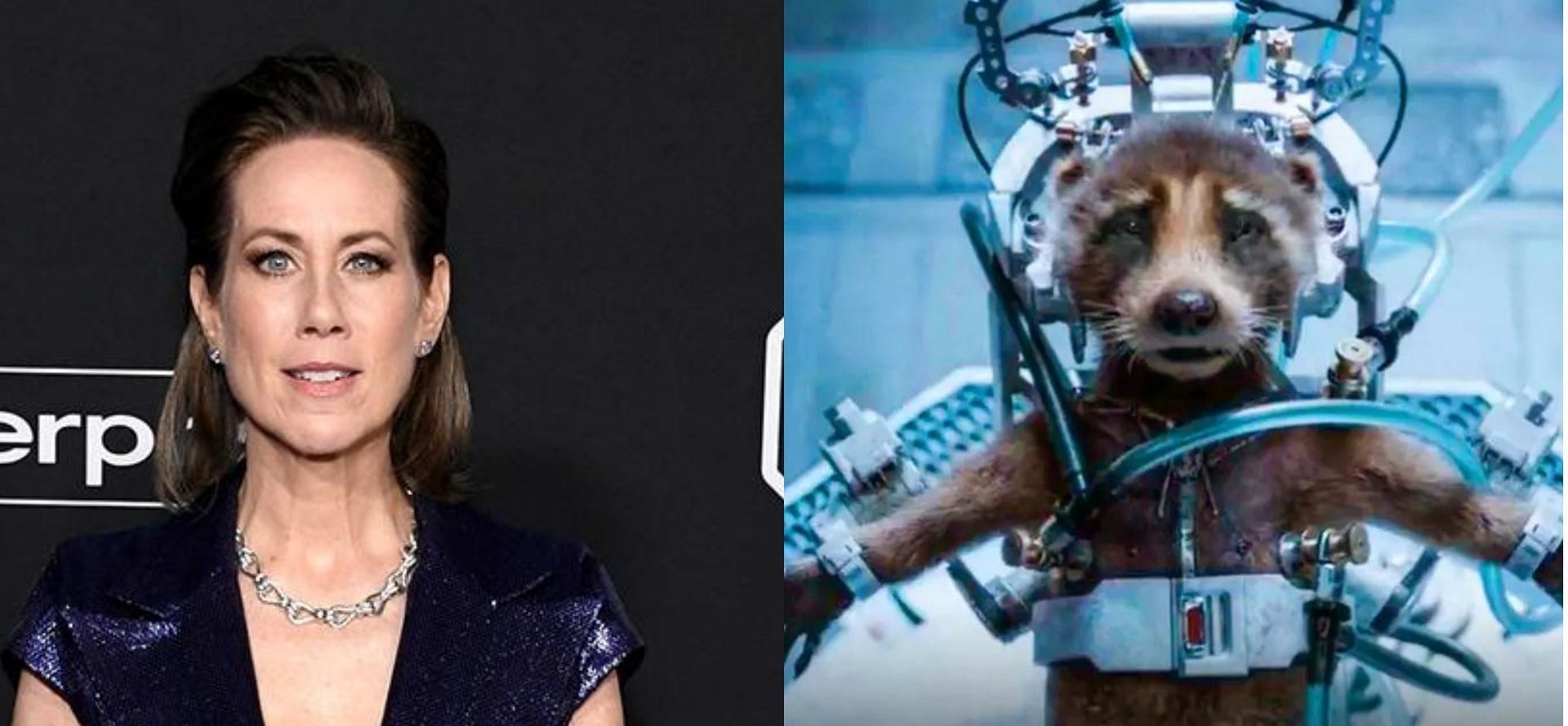 Miriam Shor reveals why the Guardians of the Galaxy 3 animal scenes had to be terrible (Images via Getty/Marvel)