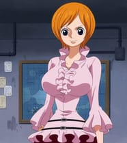 One Piece Koala Timeskip