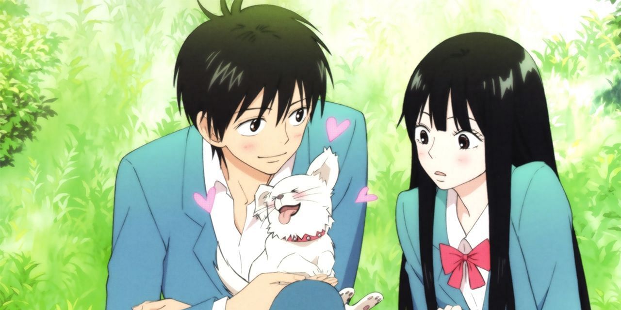 Kimi ni Todoke Anime (image via Production I.G)