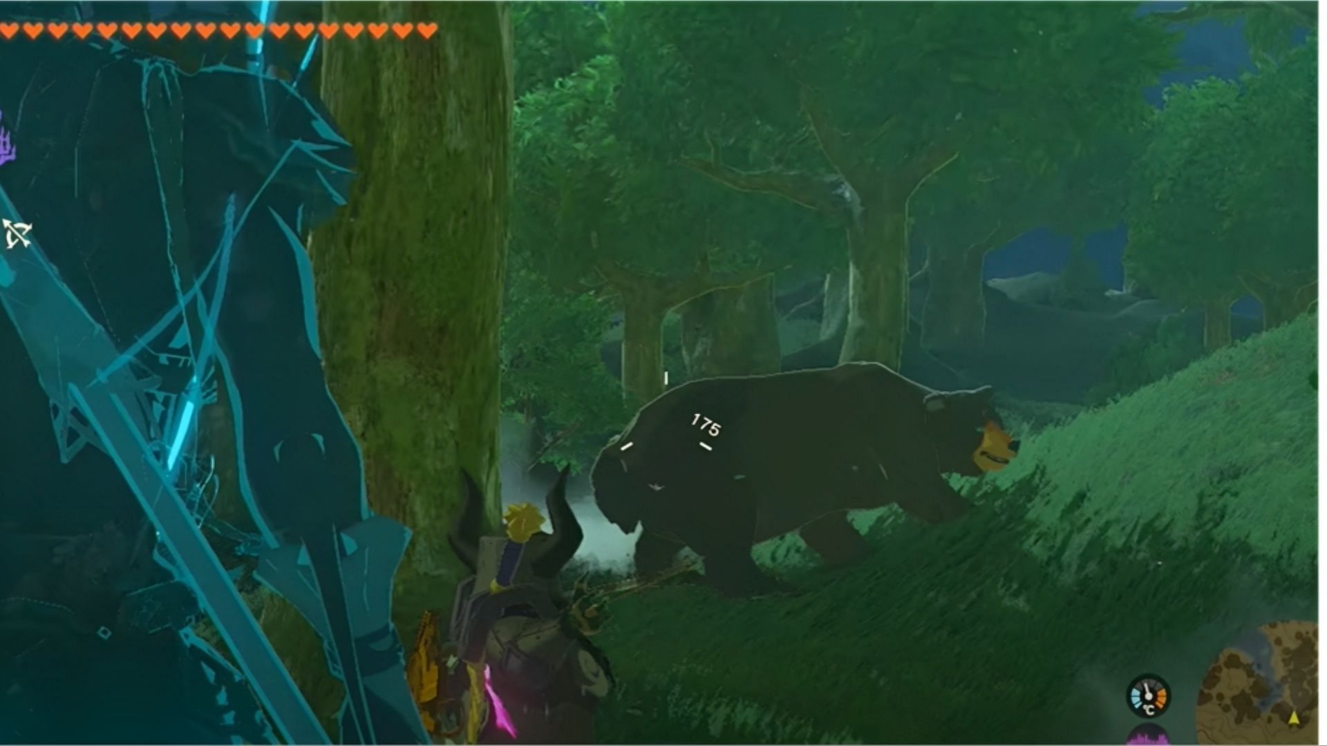 To experience the thrill of acquiring food items, players can venture into the jungles where they may encounter wild animals such as bears (Image via Nintendo)