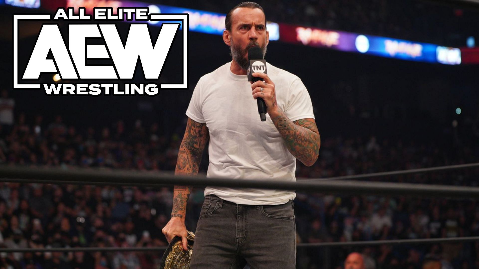Could this star end up facing off with CM Punk in AEW upon his return?