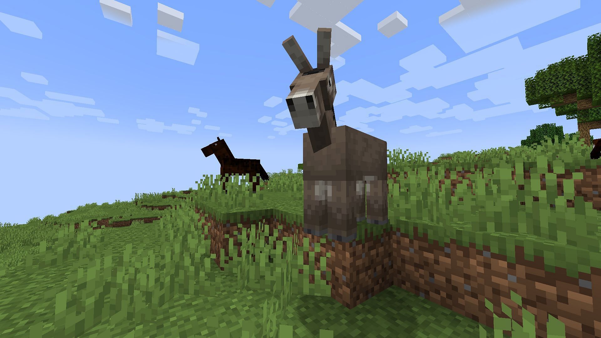 Donkeys are excellent mobs to ride on if players have a lot of items to carry in Minecraft (Image via Mojang)