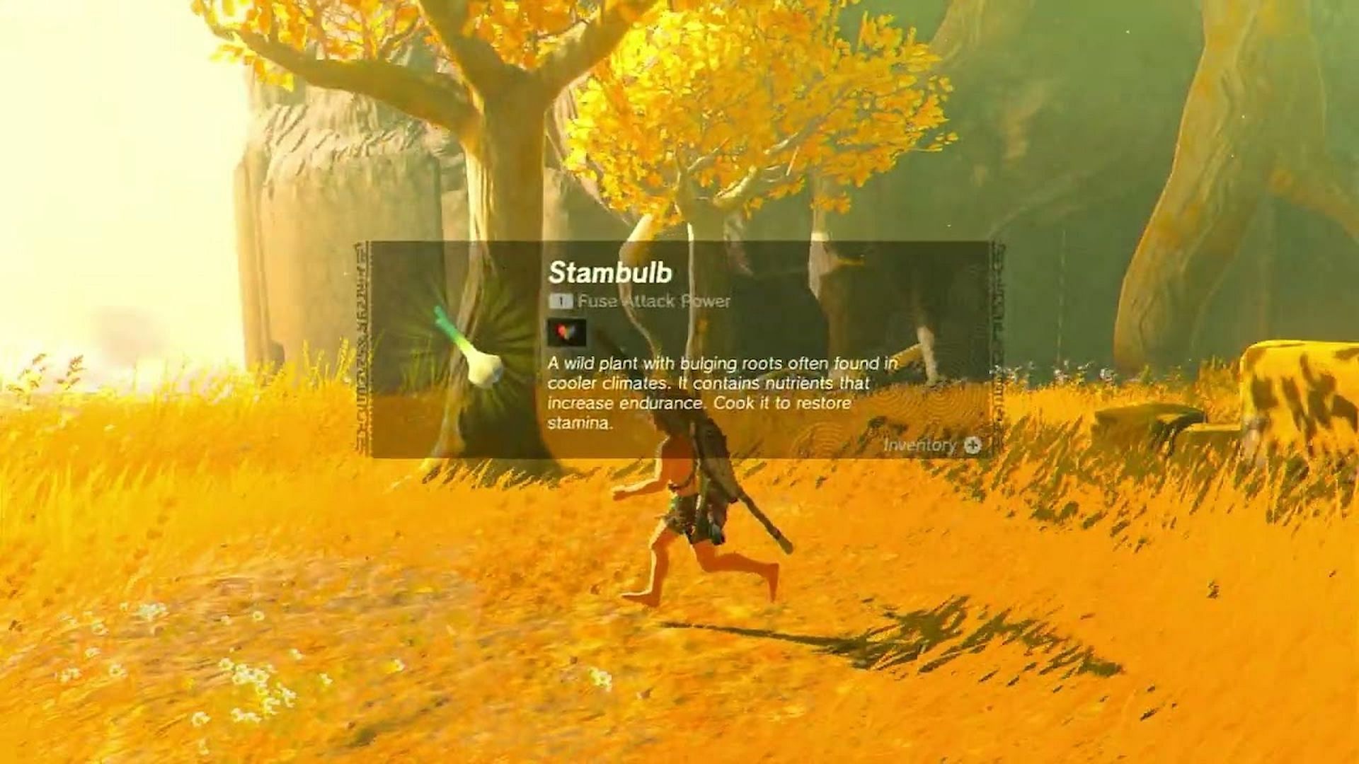 Stambulb is one of the ingredients in the recipe (Image via The Legend of Zelda Tears of the Kingdom)