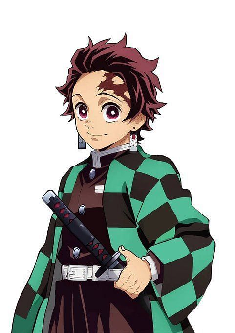 Are Tanjiro and Muichiro related in Demon Slayer? Explained