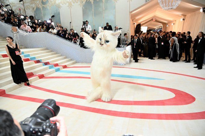 SUGA made it”: ARMYs joke that the Haegeum singer debuted at the Met Gala  in a cat outfit