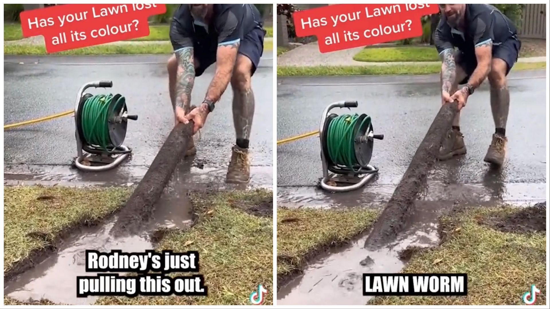 The giant lawn worm video has been circulating around social media platforms (Image via Twitter/ SkinnyTuna)