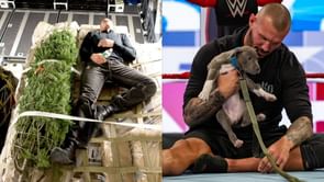 Major plans in place for Randy Orton's WWE return might see him back sooner than fans think