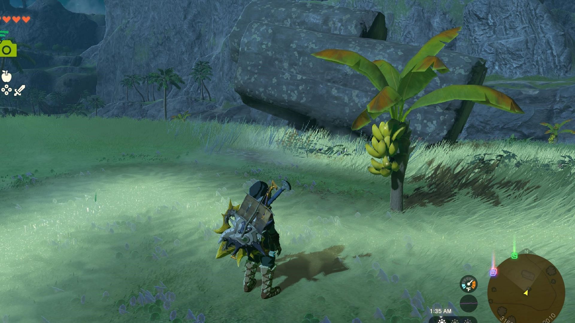You can find Mighty Bananas in the Faron region in The Legend of Zelda Tears of the Kingdom (Image via Nintendo)