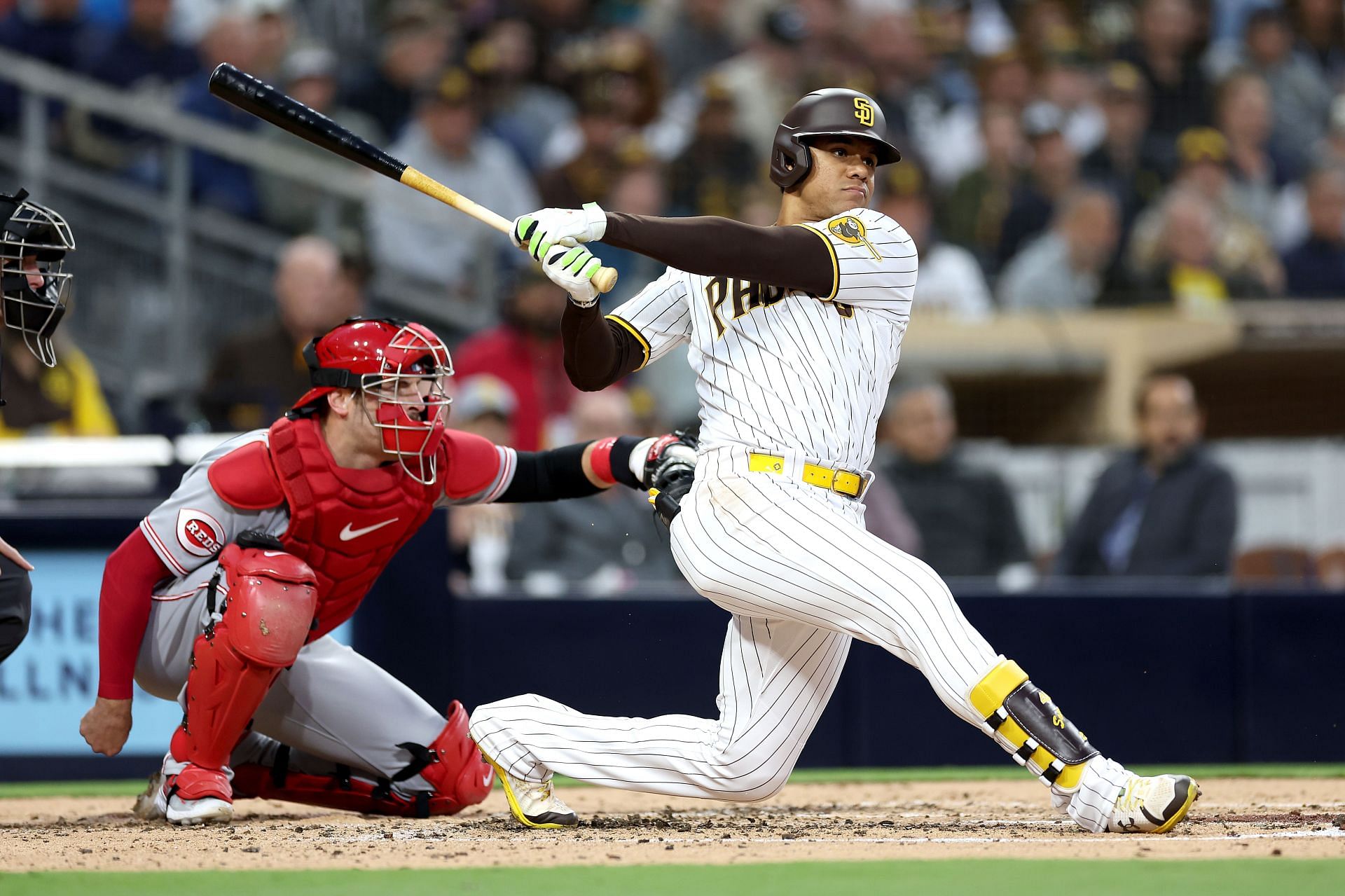 Juan Soto's soaring homer and 4 RBIs help the Padres rout the Cardinals  12-2
