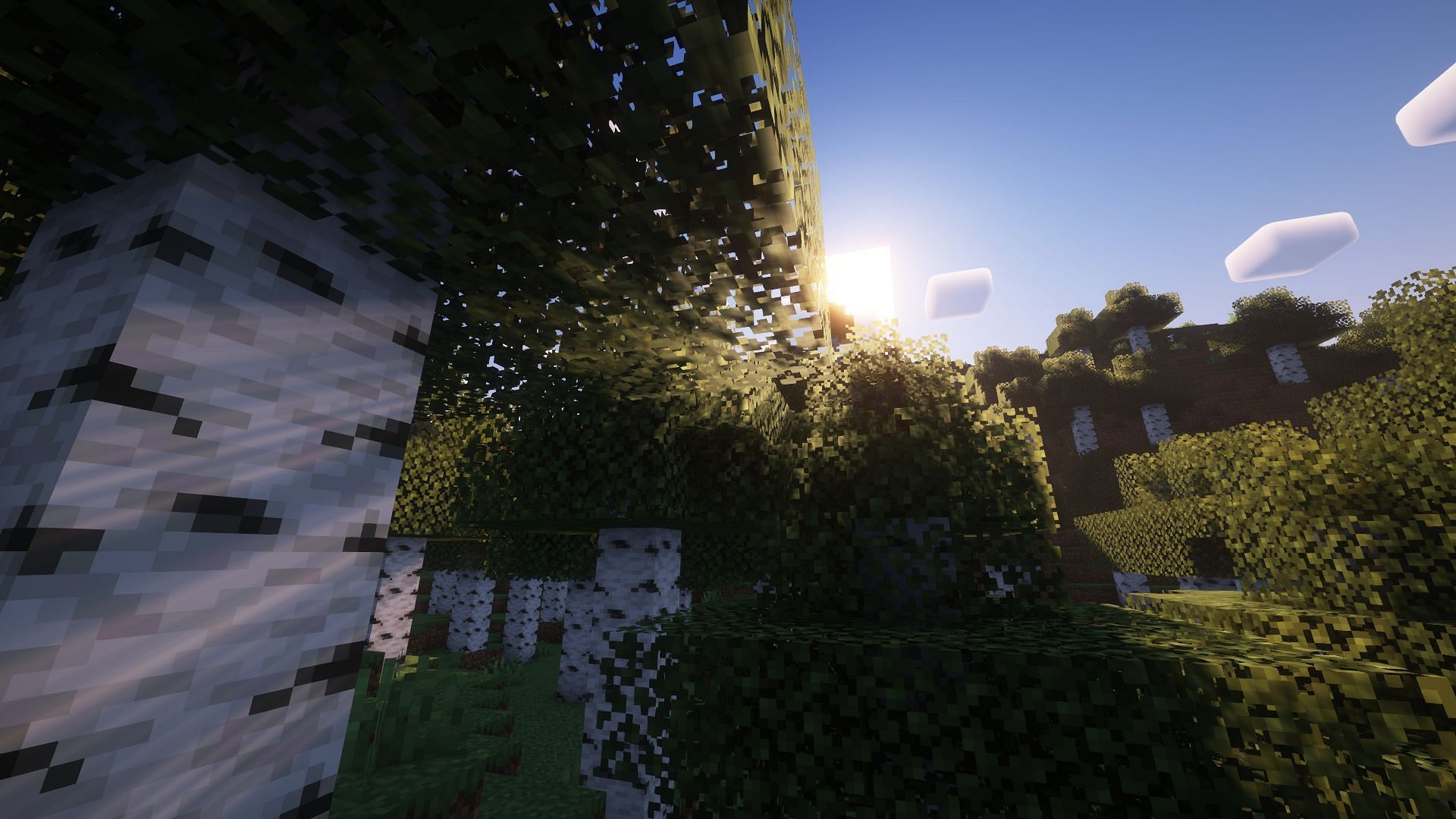 The Forest biome is slightly more dangerous but is full of resources in Minecraft (Image via Mojang)